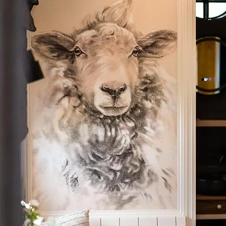 Vinkenhof שחין אופ חול