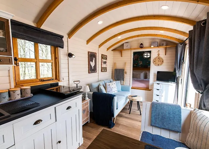 Vinkenhof * Схин-оп-Гёл